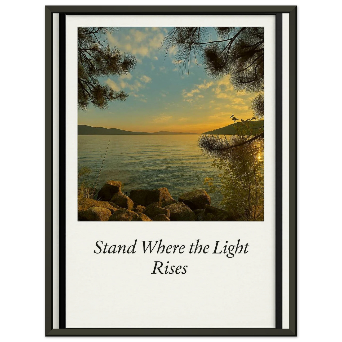 097758b4-aa87-49a3-9ca3-6686b614119e