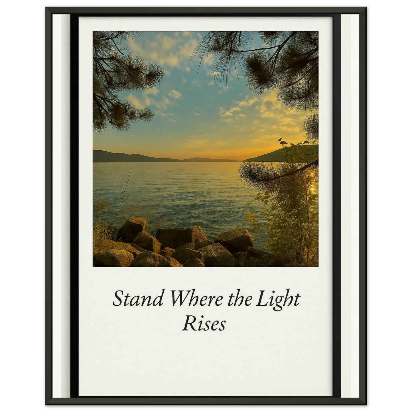 53627629-1b1a-44aa-8527-8f96cf53ce8d