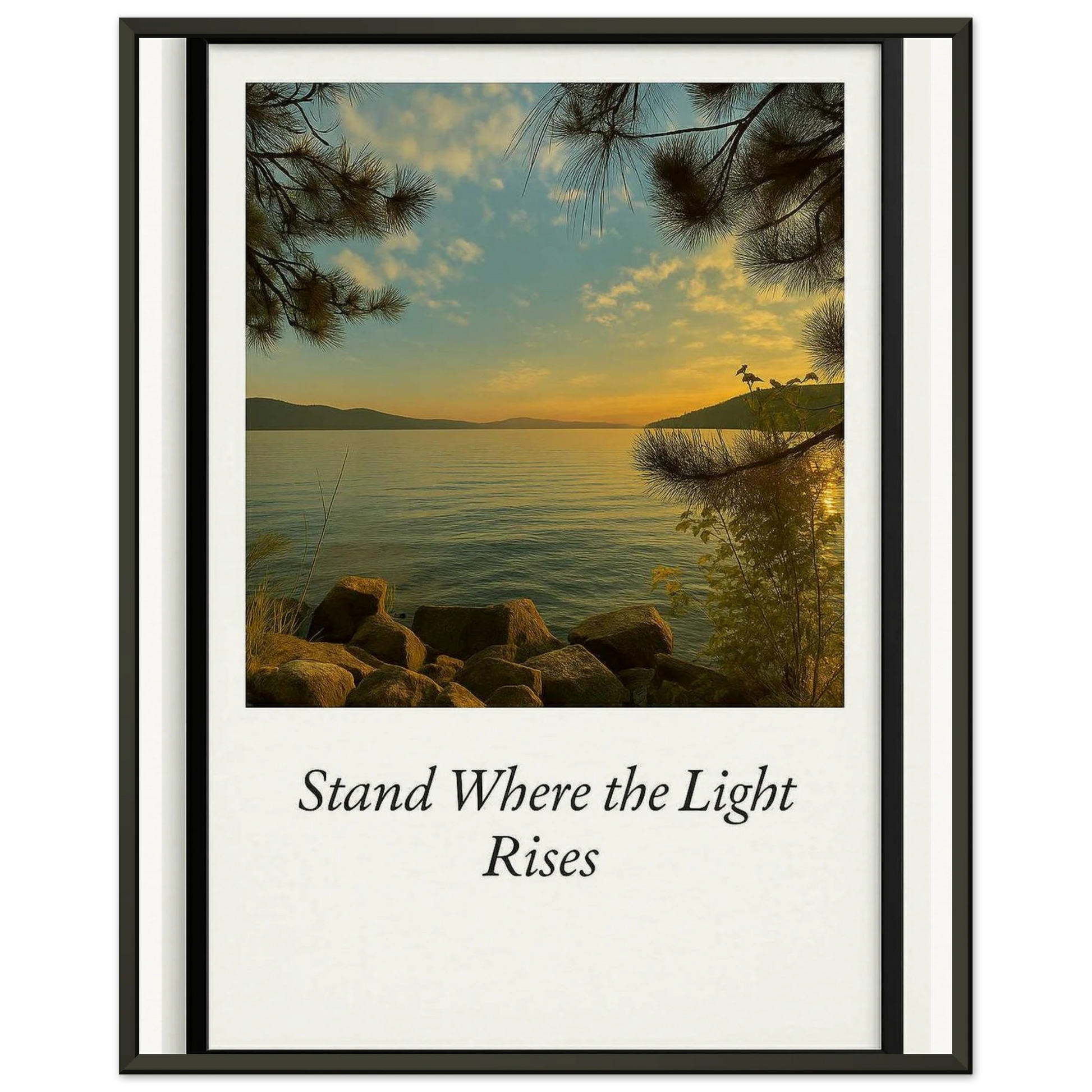 53627629-1b1a-44aa-8527-8f96cf53ce8d