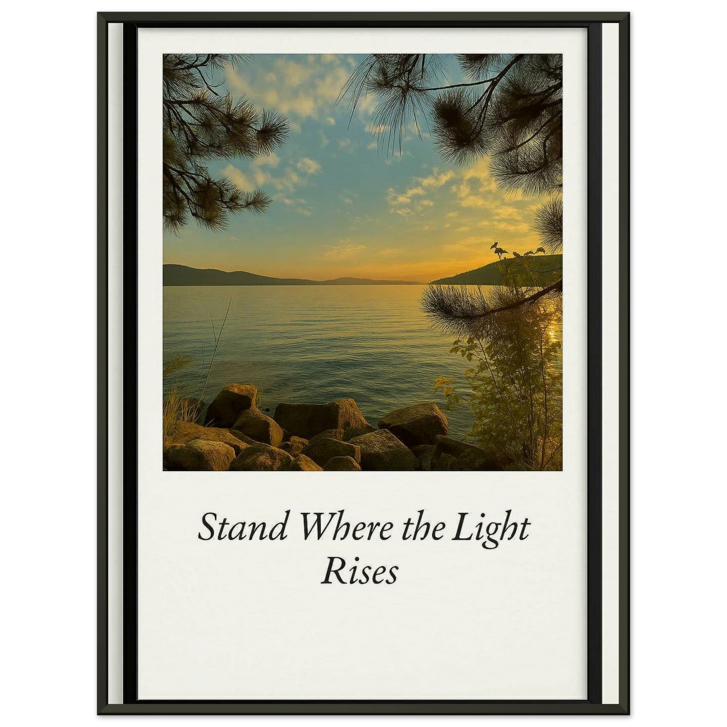 c8ad31dc-72b1-4b9f-bdc2-ed7f0efc4e74