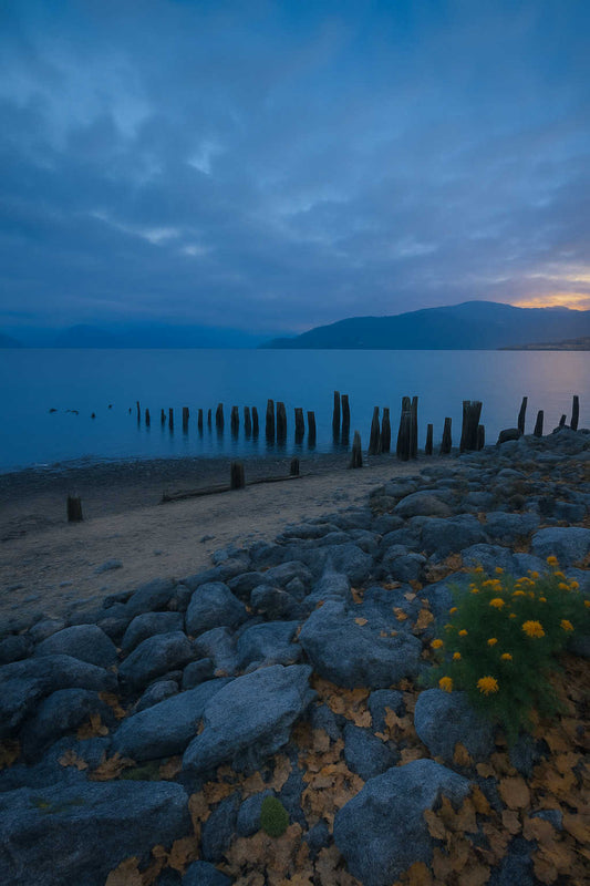 Stillness Within -- Rise & Repeat Wall Series